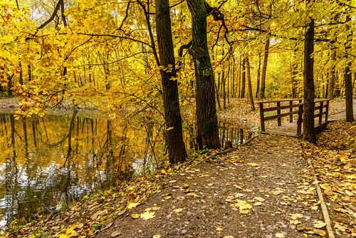 Scenic autumn forest with vibrant yellow foliage, a wooden footbridge and a peaceful pond reflecting colorful trees.