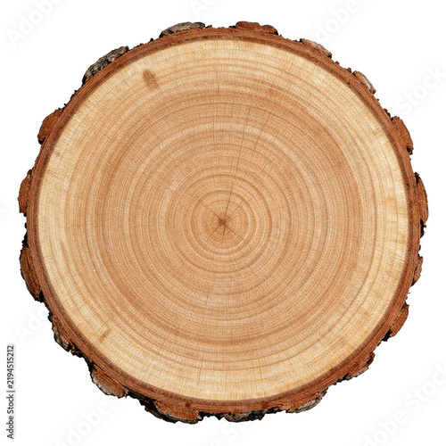 Natural wood log slice with visible growth rings and rough bark texture