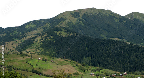Green Alpine Mountain Valley with Houses and Pine Forest Cutout isolated on transparent background. PNG file.