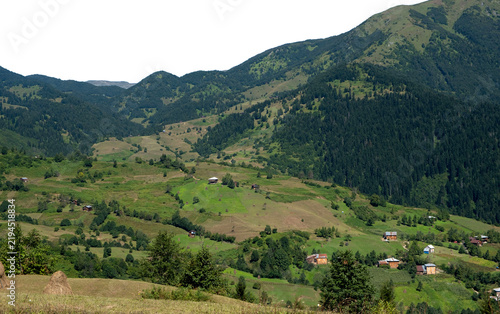 Green Alpine Valley Settlement with Pine Forest Mountain Ridge Cutout isolated on transparent background. PNG file.