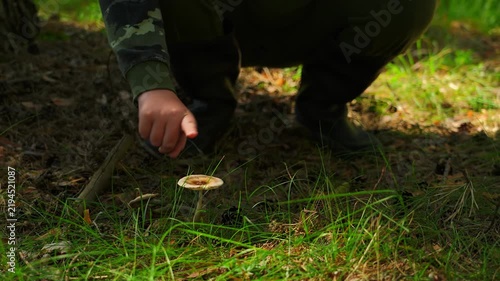The man's hand points to an inedible mushroom growing in the forest. Toadstool, danger of poisoning, a poisonous mushroom unsuitable for human food.