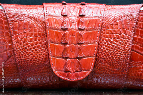 bag crocodile leather, Alligator patterned background