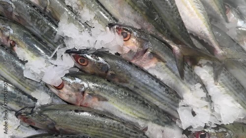 Footage of Fresh Whole Mackerel on Crushed Ice at Supermarket Seafood Counter.
