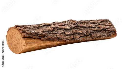 Rough bark textured oak log with visible growth rings, isolated on transparent background