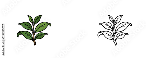 Green tea leaves branch with stem vector illustration in flat green color and black line art styles on white background for herbal beverage organic farm design