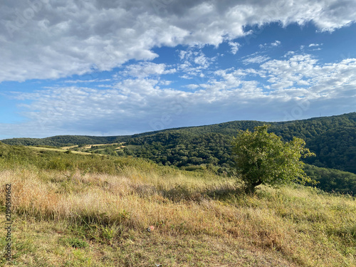 Rolling forested hills of Fruska Gora rise beyond a grassy meadow under a cloudy blue sky
