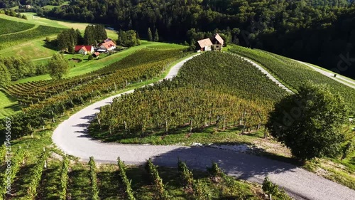 Herzerlstrasse in Spicnik Slovenia Heart Shaped Wine Road