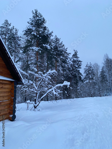 Snow-covered wooden log cabin stands next to a winter forest of pine trees