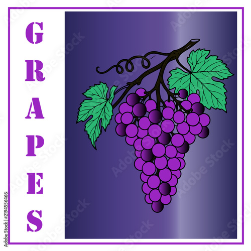 Purple Grape Bunch Illustration Vintage Wine Label Fruit Sticker