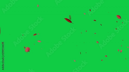 Red and Brown Autumn Leaves Falling and Blowing in the Wind with Chroma Key Green Screen Background
