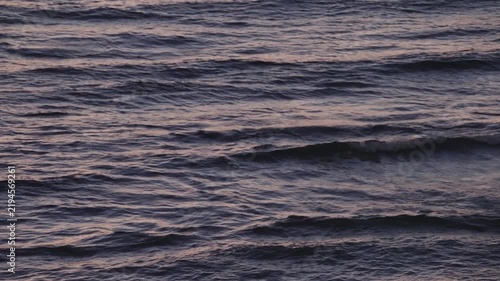 Calm dark sea water with small waves gently moving and reflecting the pink and orange light of the sunset or dawn before sunrise on a beach. Relaxing and meditative scenic background