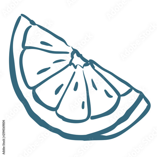 Lemon wedge hand drawn with citrus segments, rind and sliced shape. Seafood menu, garnish and packaging design with lemon wedge in doodle ink style, vector illustration.