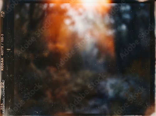 Vintage film photograph of sun flare in forest with sunlight woodland atmosphere ethereal outdoors landscape artistic