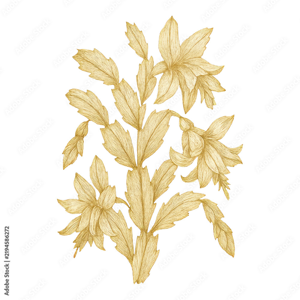 Obraz premium PNG Elegant botanical illustration, golden flowers.