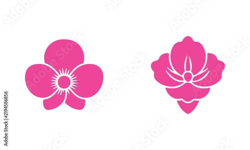 pink flower on white background