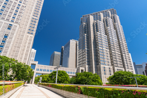 Plakat 新宿中央公園から眺める新宿副都心の風景 