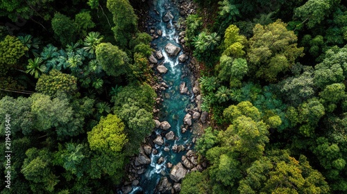 top down view of green forest with water stream, clean ecosystem concept 