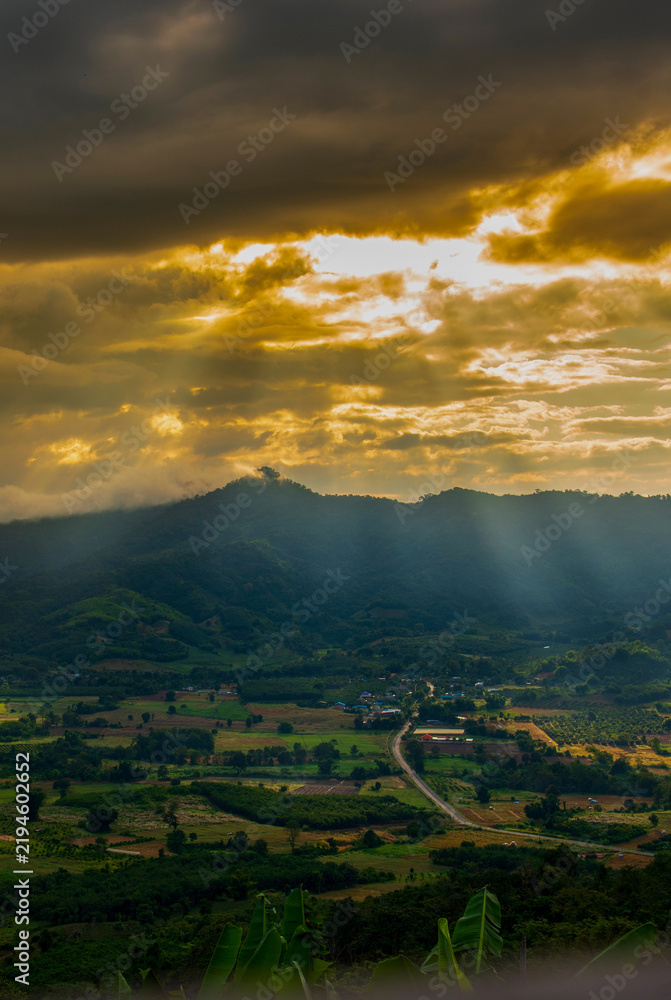 Obraz premium Vertical Horizon Violet pink sky Romantic landscape sunrise romantic beautiful landscape view. Dawn sky gold dusk time cloudscape with sunlight. Vertical twilight sunset golden time sky sunrise dawn