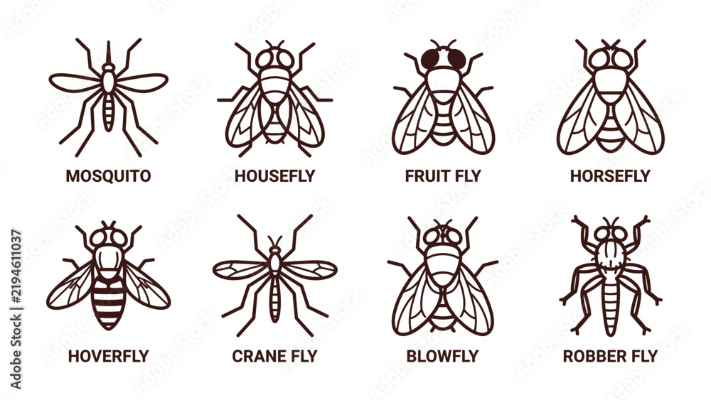 Fototapeta premium Insect Variety Pack: A collection of eight distinct insect illustrations, including mosquito, housefly, fruit fly, horsefly, hoverfly, crane fly, blowfly, and robber fly.