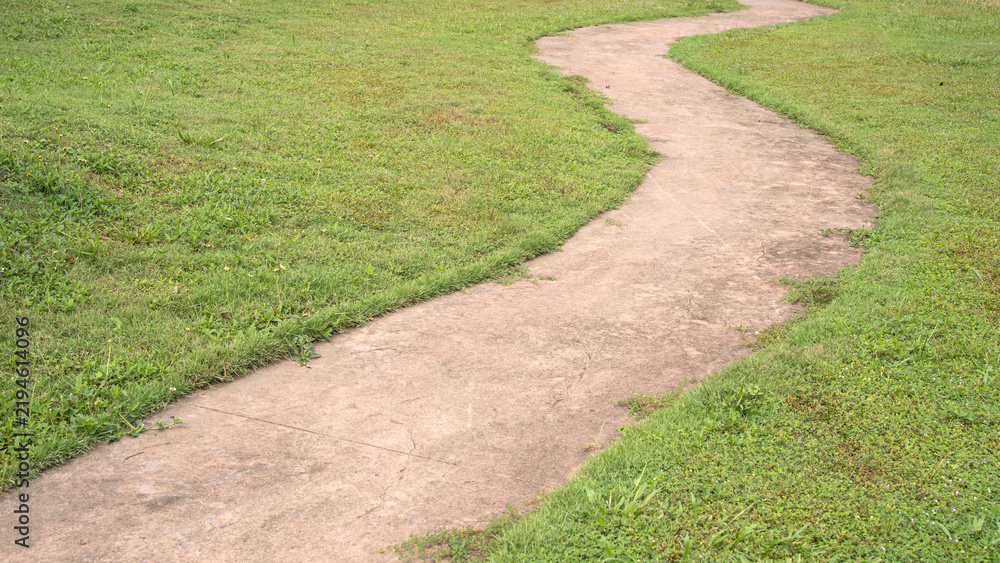 Obraz premium Winding Concrete Walkway Path Through Green Lawn Landscape Park Garden Pathway S Curve High Angle