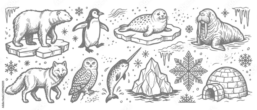 Obraz premium Arctic Wildlife Vector Set Polar Bear Penguin Seal Icons