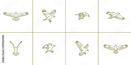 Vintage eagle line art collection, set of 8 hand drawn bird of prey vector icons, gold hawk and falcon sketches for luxury branding and logos
