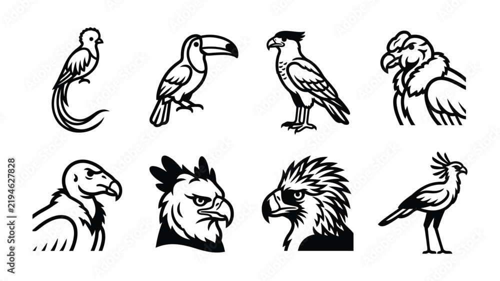 Obraz premium Bird Silhouettes Collection: A collection of stylized black and white illustrations showcasing a variety of bird species, from songbirds to birds of prey, presented in a clear graphic style.