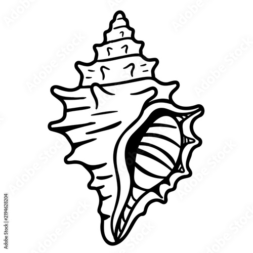 Outline seashell icon