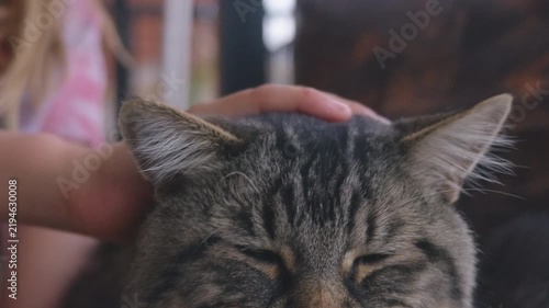 Boy petting his cat on a balcony in the city