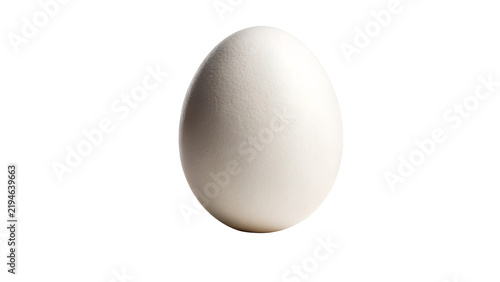 Single Fresh White Chicken Egg Standing Upright Isolated on White Background