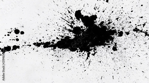Abstract Black Ink Splatter on White Background