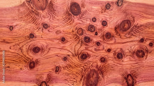 Red Cedar Wood Grain Texture with Natural Knots