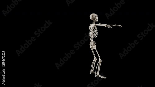 Funny dancing skeleton character animation with alpha channel transparent background