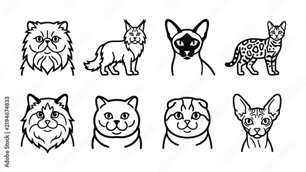 Fototapeta premium Feline Variety Collection: A set of eight distinct cat illustrations showcasing different breeds and facial expressions, offering a diverse range of feline personalities and features.