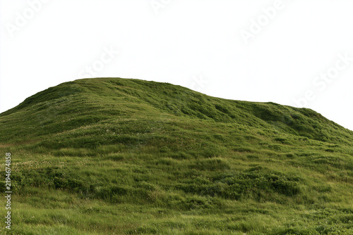 Rolling green grassy hill isolated against a clean white sky with green meadow