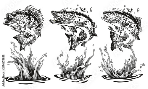 Hand-drawn fish leap from water