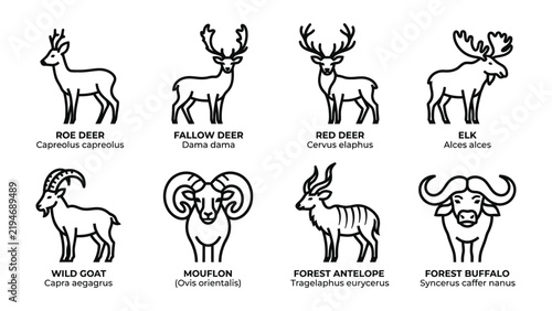 Canvas Print Collection of Wild Animals: A graphic representation showcasing a variety of wild animals, including deer, wild goat, mouflon, forest antelope, and forest buffalo, each with its species name