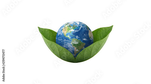 Planet earth globe surrounded by green leaves