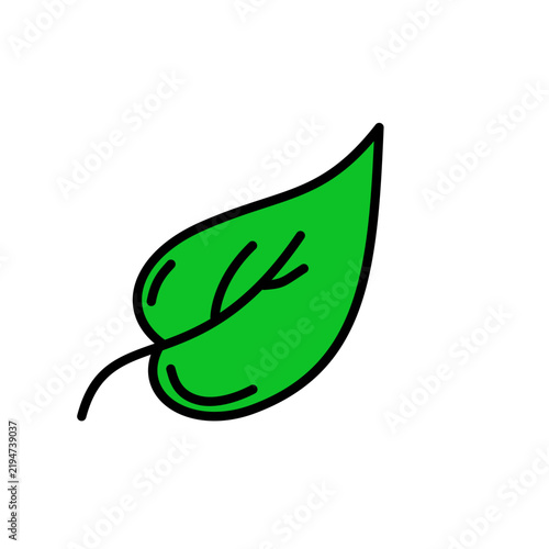 Minimal Nature Plant Big Leave Botanical Elements - Eco Foliage Shapes