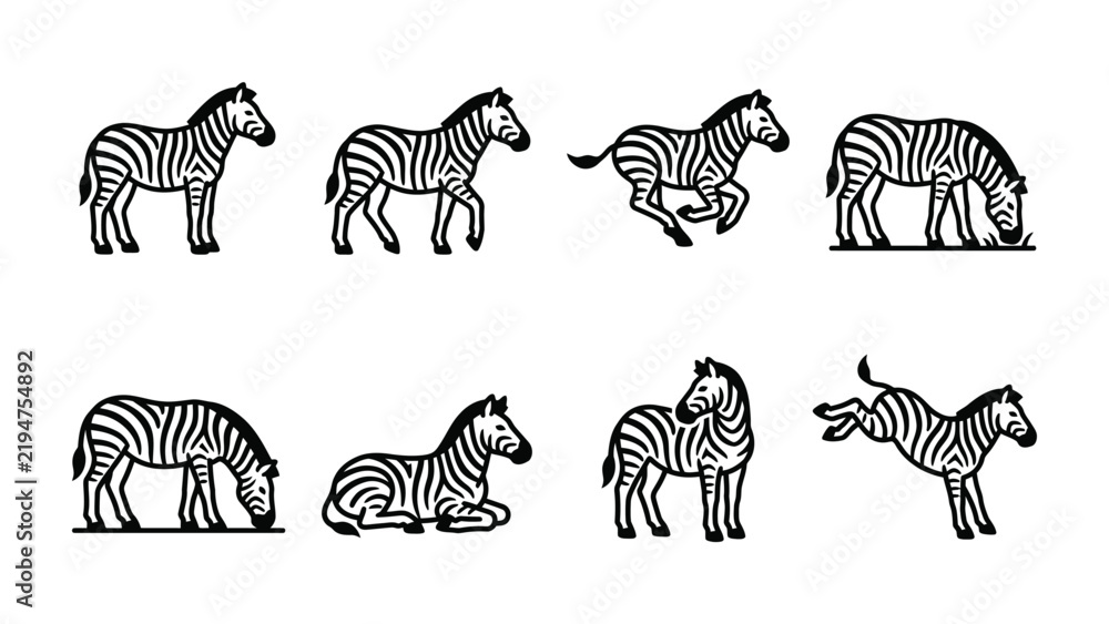 Obraz premium Set of Zebra Poses: A collection of graphic illustrations depicting zebras in various poses, including standing, walking, running, grazing, resting, and jumping.