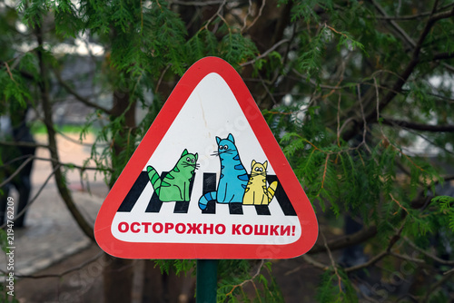 Foto Zelenogradsk