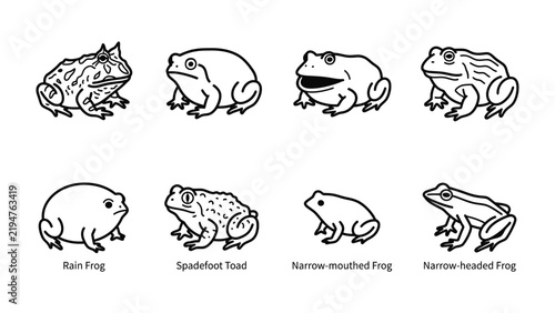 Фотография Set of Diverse Frogs: A collection of eight distinct frog illustrations, showcasing various species with unique features and body shapes, presented in a clean, graphic style