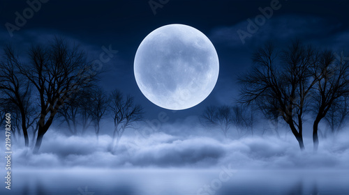 Foggy moonlit night with silhouetted trees on a Halloween background  