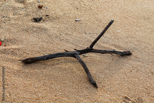 Dark driftwood branch resting on fine-grained sandy beach surface