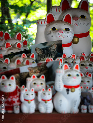 фотографія Charming Cat Statues at Gotokuji Temple in Tokyo, Japan