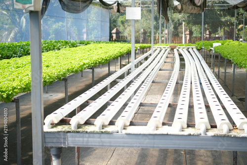 Foto Rows of hydroponic pipes arranged in straight lines, ready for vegetable crops in a modern farming setup