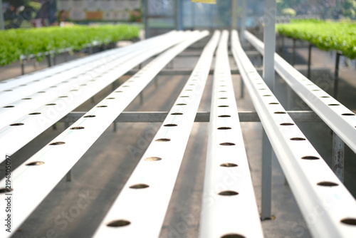 Quadro su tela Rows of hydroponic pipes arranged in straight lines, ready for vegetable crops in a modern farming setup