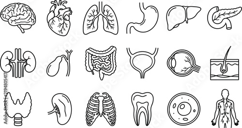 Human internal organs anatomy vector icon set black and white line art medical elements for healthcare education clinic infographic design