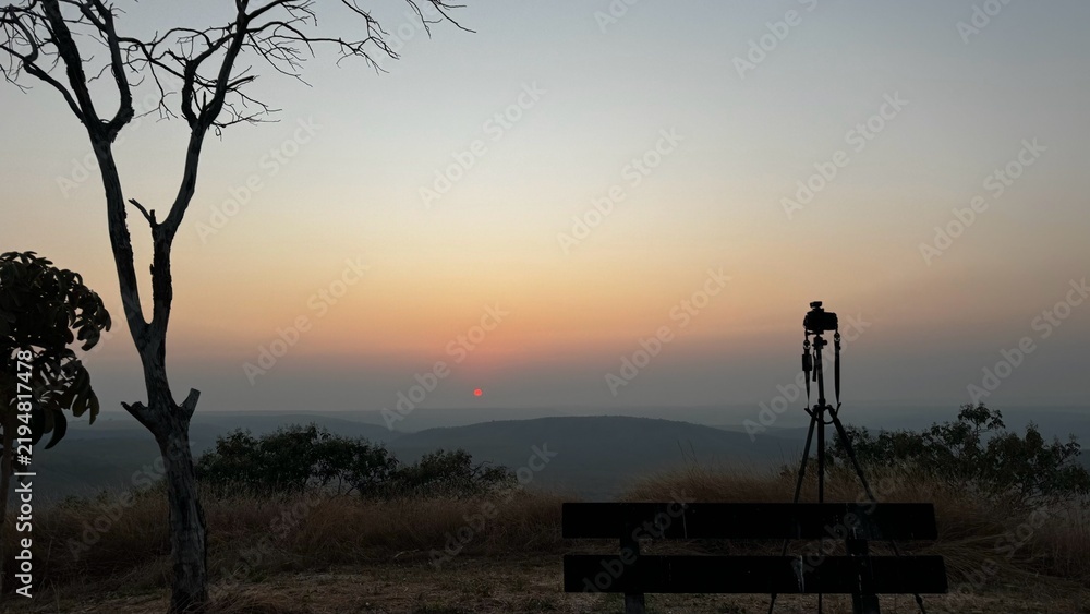 Fototapeta premium Hazy sunset silhouette with a bare tree and bench, cerrado hilltop