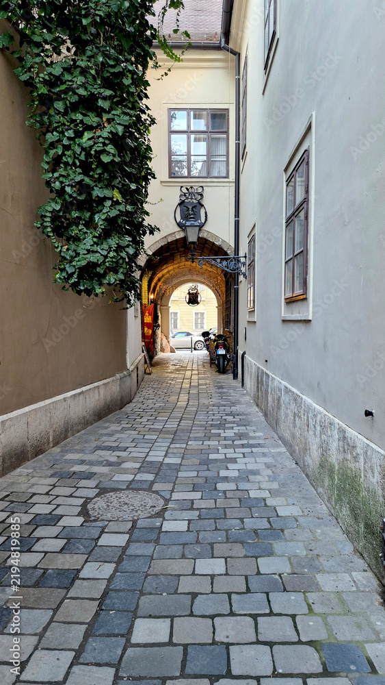 Obraz premium narrow street in old town